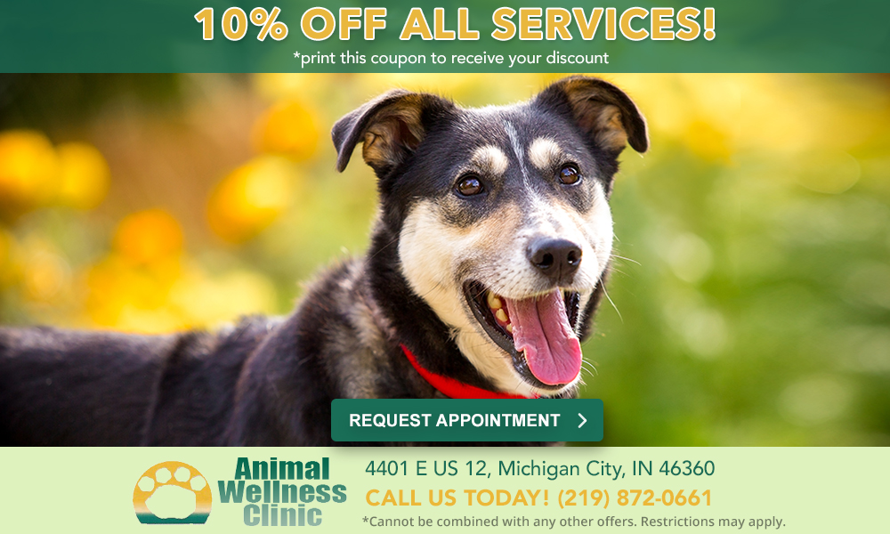 Veterinarian SpecialsVeterinarian Services Near Me in Michigan City, IN | Animal  Wellness Clinic